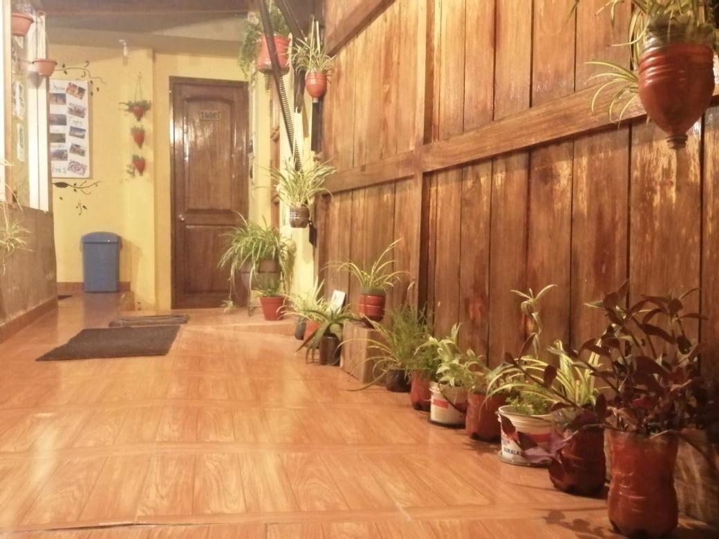 Eco Aventura Hostel Cusco Exterior photo